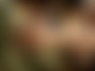 Another Illustration of Embracing Inclusivity