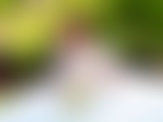 Remerciement de Marie-Ange, mariée le 6 août 2016