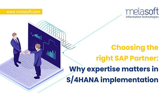 SAP Partner