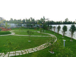 Fruit garden