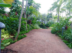 IMG_20181029_173945354