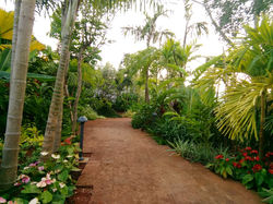 IMG_20181029_173502520