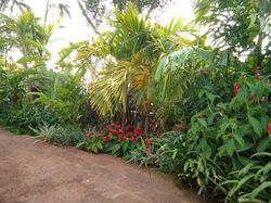 IMG_20181029_180151374