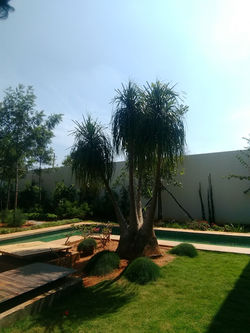 IMG_20181030_130934089