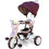 Miniatura: Iimo 3-In-1 Foldable Tricycle With Canopy
