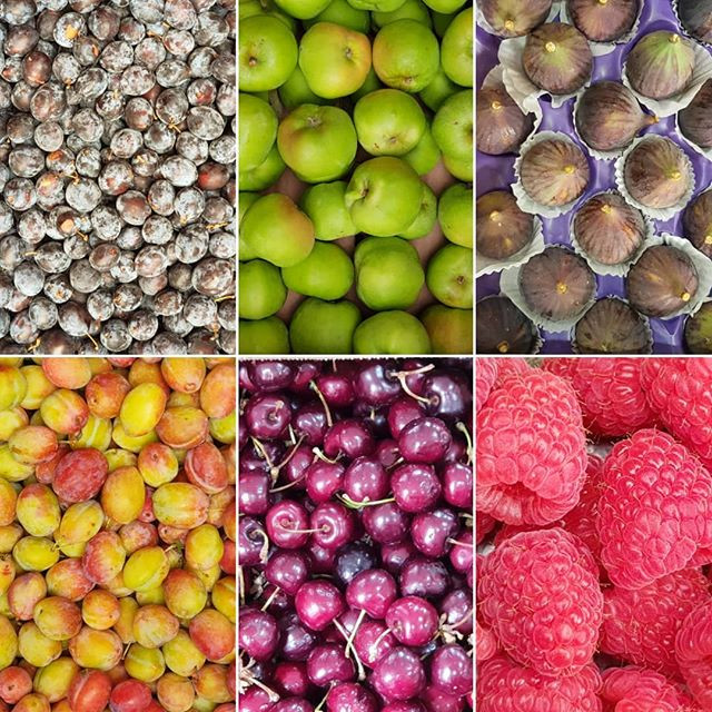 seasonal goodies