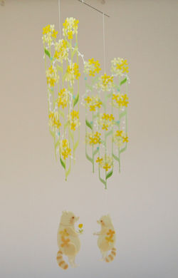 菜の花畑で