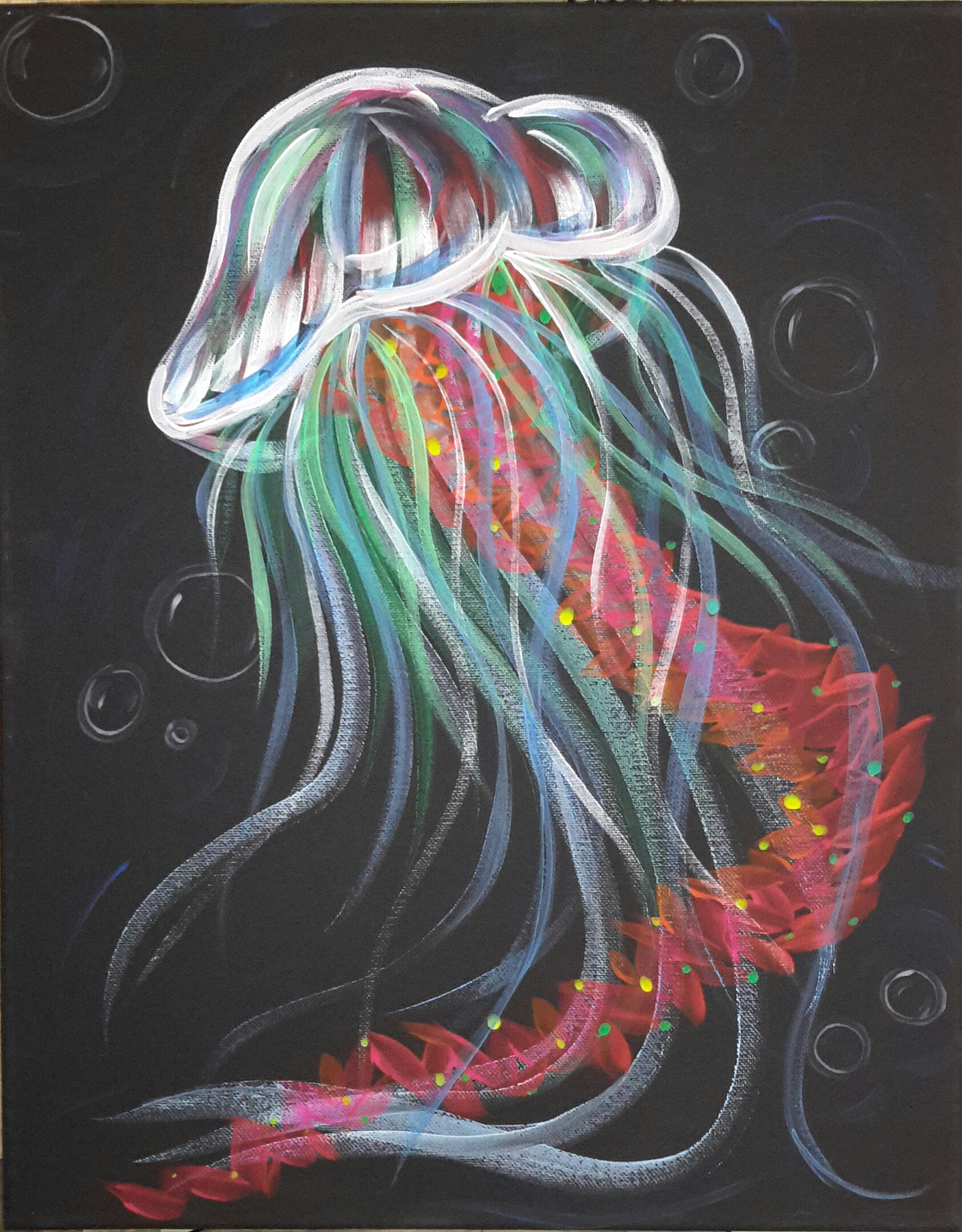 Jellyfish