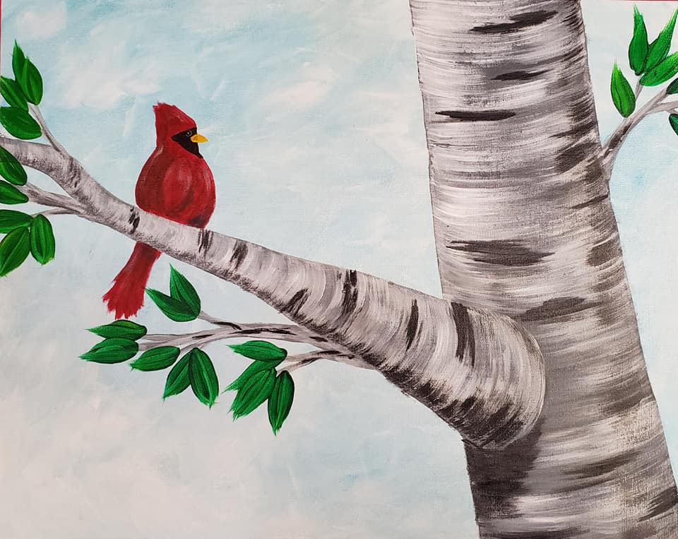 Summer Cardinal Visitor