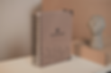 _DSC3400.png