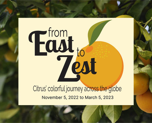 East to Zest title for social media