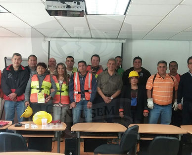 Formación de Brigadas IPN