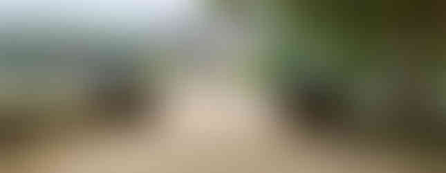 Sphinx statues outside of the Château.