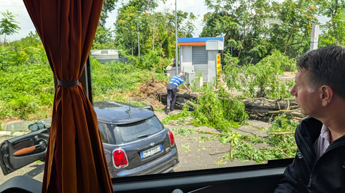 Tornado damage!