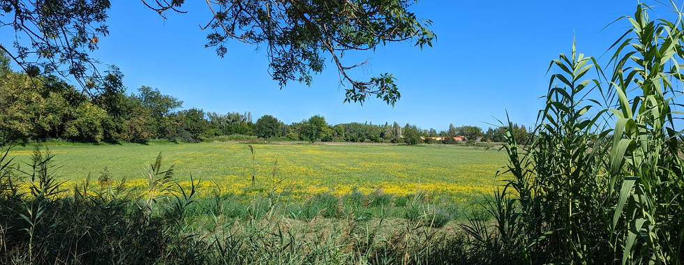 French countryside in front of the hotel.