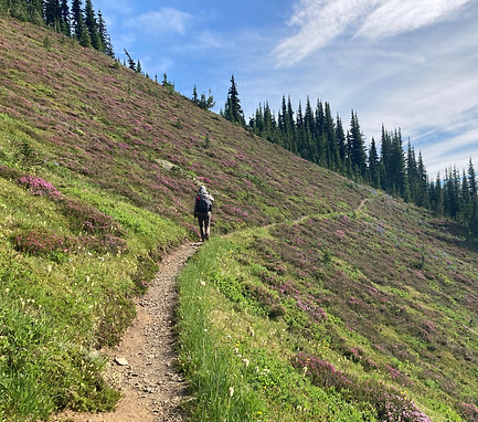 North Cascades National Park Trails and wildflowers