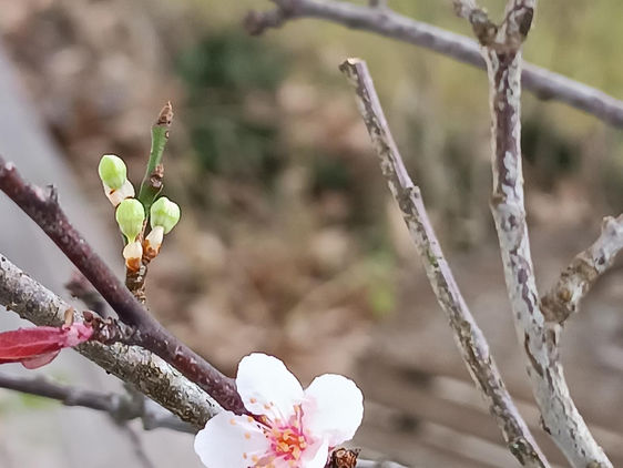 Für einen bewussten Jahresabschluss...