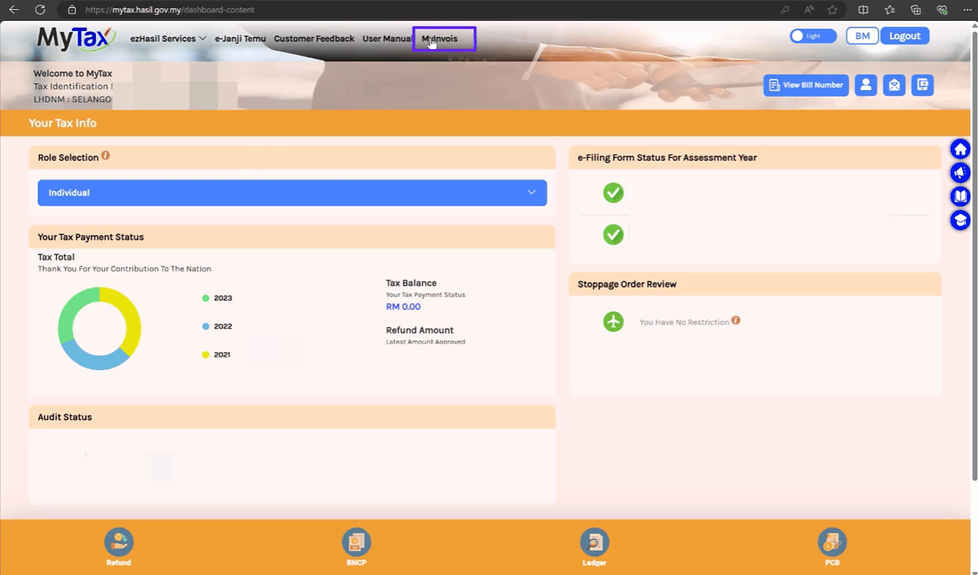 LHDN MyInvois Portal Registration Sample Image2