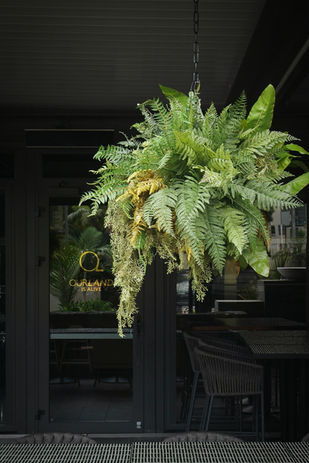 Faux Fern Hanging Basket