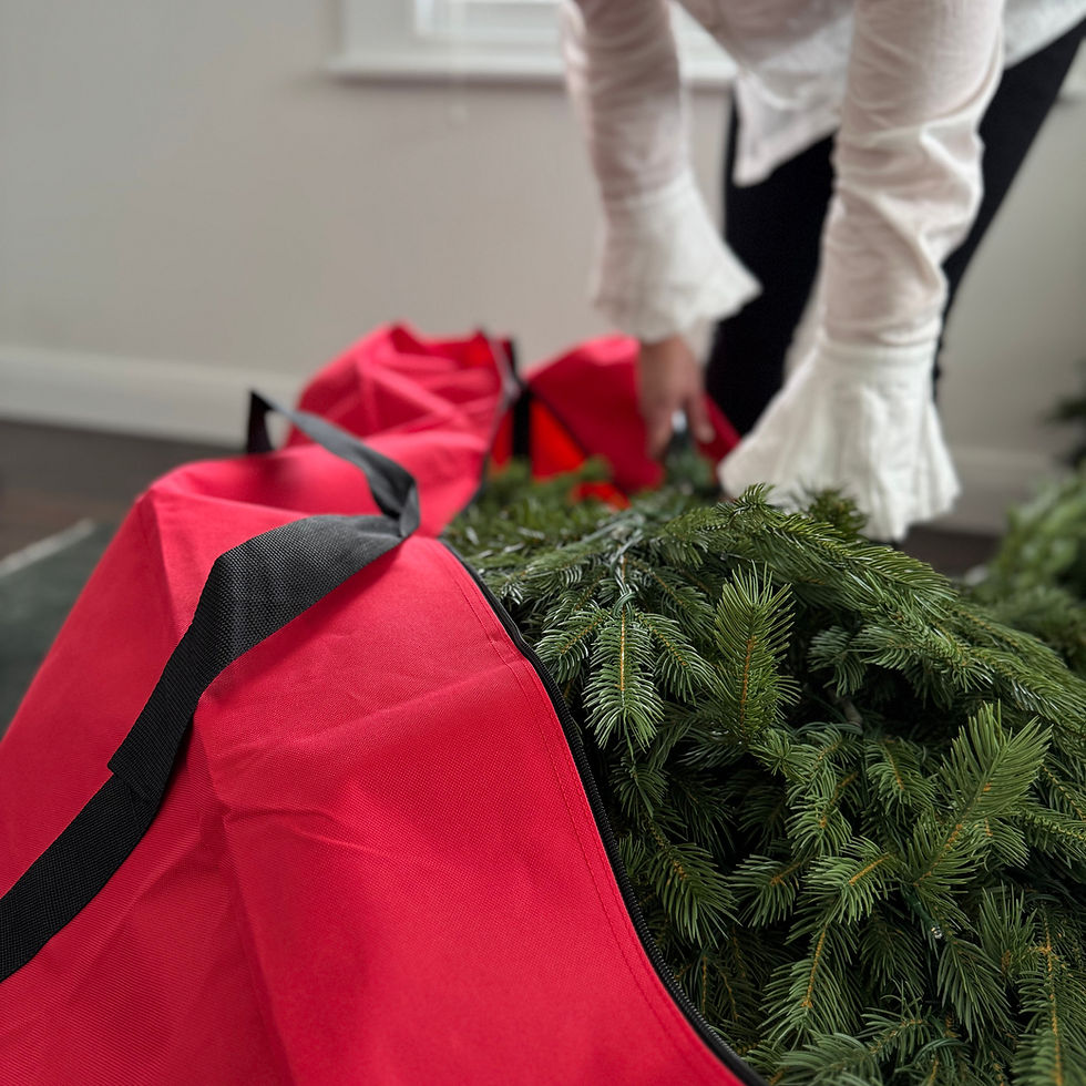 Thumbnail: CHRISTMAS TREE STORAGE BAG