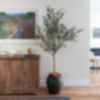 'BELLA VERDE' FAUX OLIVE TREE 2.3m (in WHITE or EARTH Pot) 2.1m Without Pot