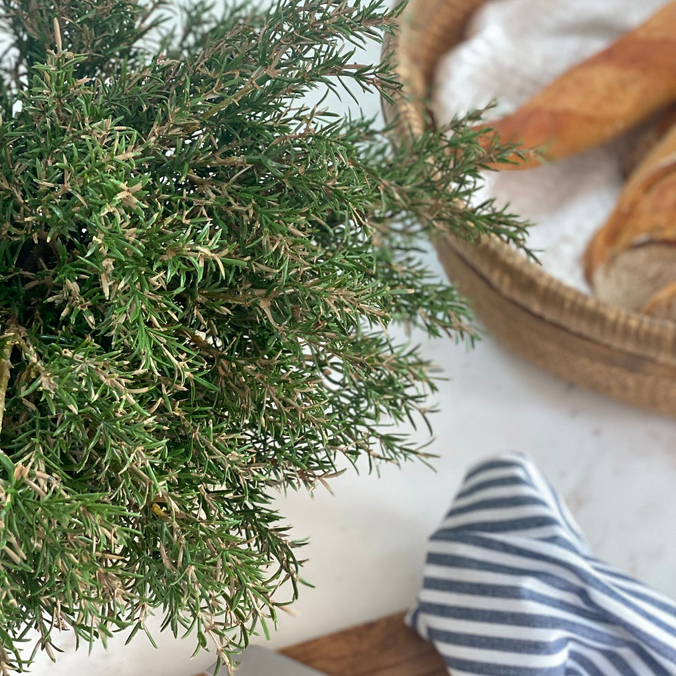 Thumbnail: 'RUSTIC ROSEMARY'