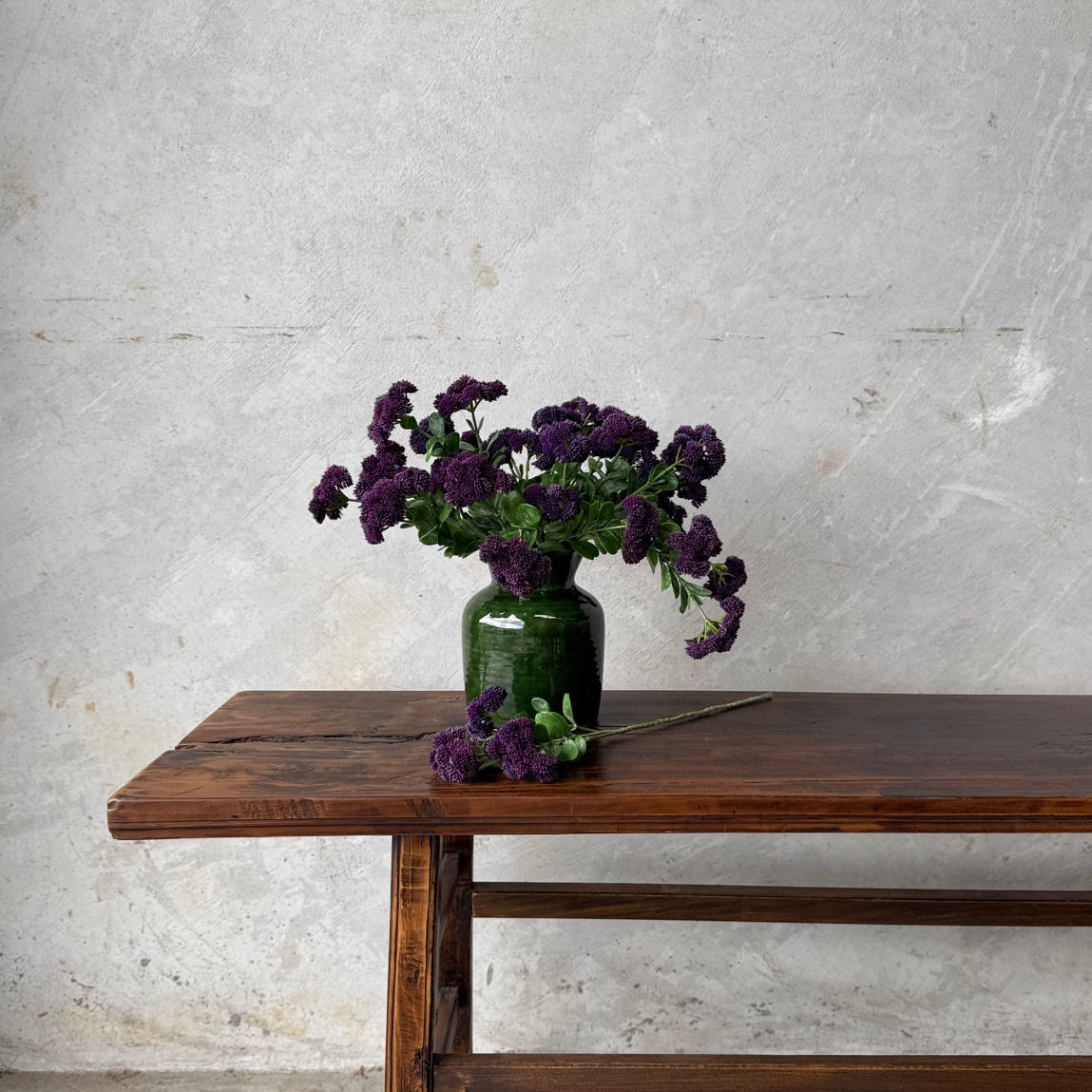 PURPLE SEDUM - SINGLE STEM