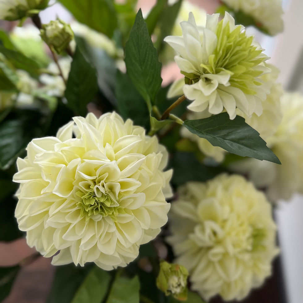 Thumbnail: 'DAHLIA PATCH' LARGE VASE ARRANGEMENT