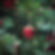 'STRAWBERRY SEASON' GLASS CHRISTMAS ORNAMENT (Set of 4)