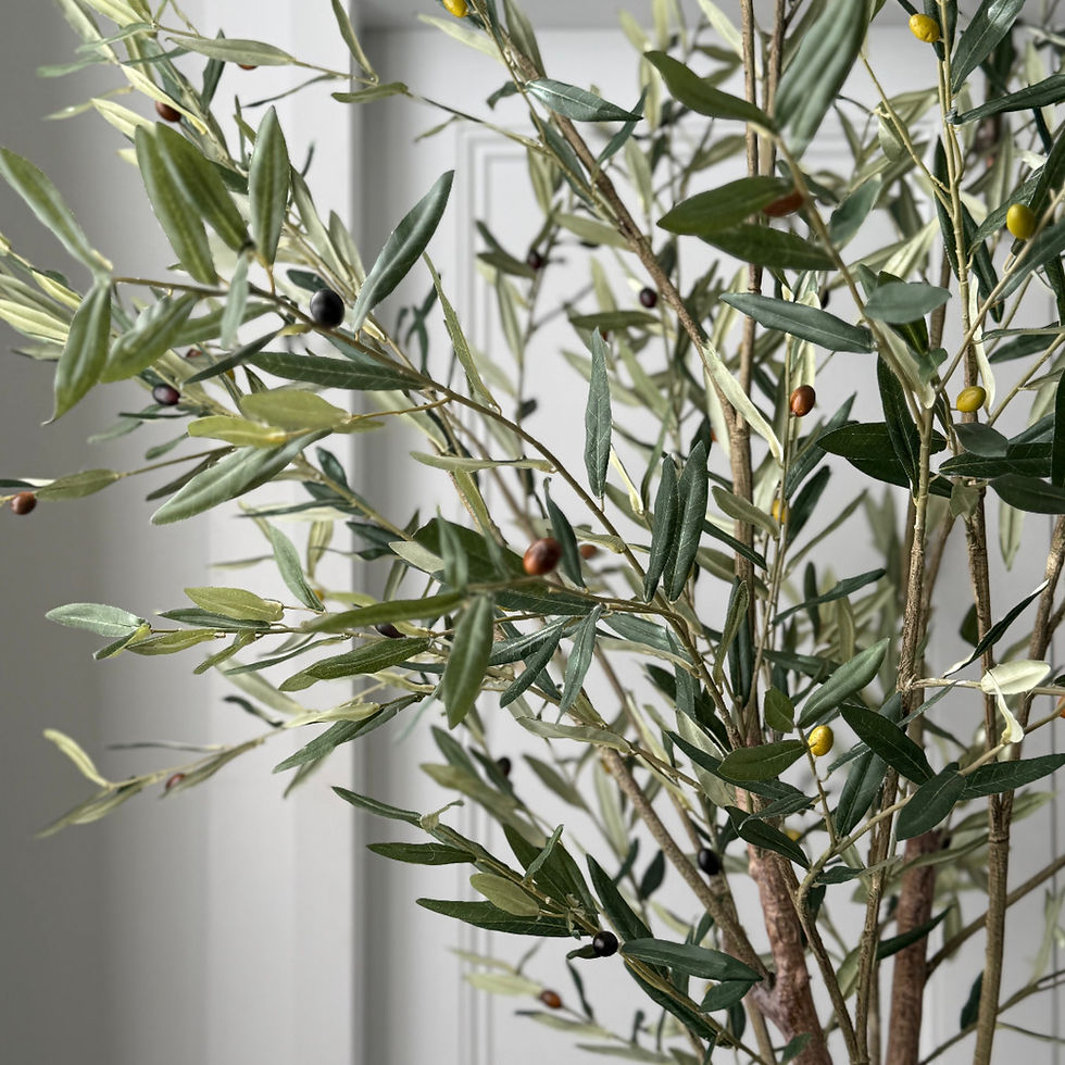 Thumbnail: 'BELLA VERDE' FAUX OLIVE TREE 2.3m (in WHITE or EARTH Pot) 2.1m Without Pot