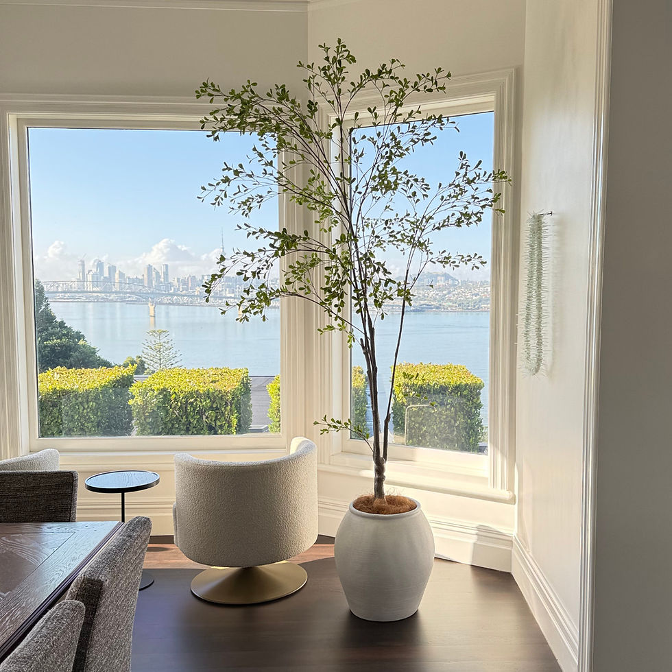 Thumbnail: 'BELLA NERA' FAUX BLACK OLIVE TREE 2.5m (WHITE, EARTH, or NO Pot)