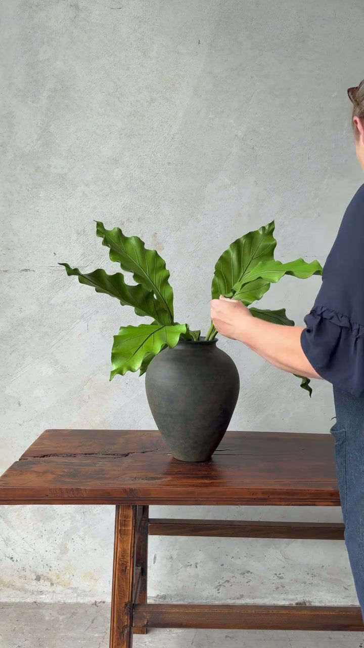 Thumbnail: BIRDS NEST FERN FROND - SINGLE STEM