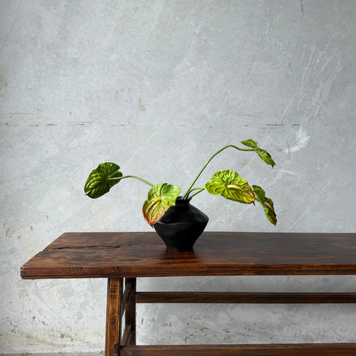 glazed planter pots Small Brown Glazed Pot