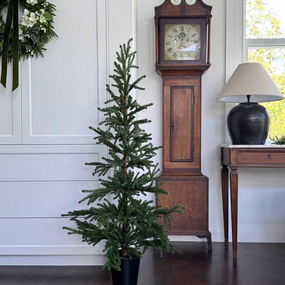 Thumbnail: 'THE POTTED PINE' CHRISTMAS TREE 1.5m (Cement Pot Optional)