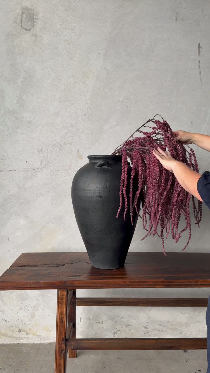 Thumbnail: BURGUNDY AMARANTHUS - SINGLE STEM