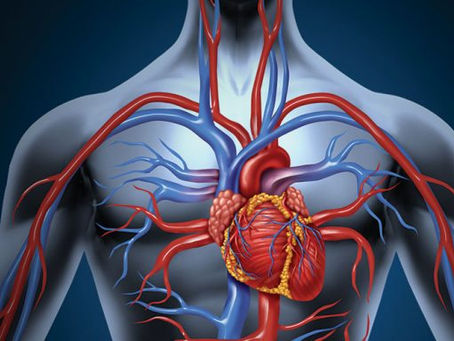 Vamos conhecer um pouco sobre Vasculite?