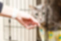 AdobeStock_145171540.jpeg