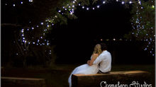 A celebration under the stars