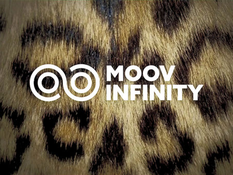 Nouveau STUDIO à Ecublens dès le 6 janvier !