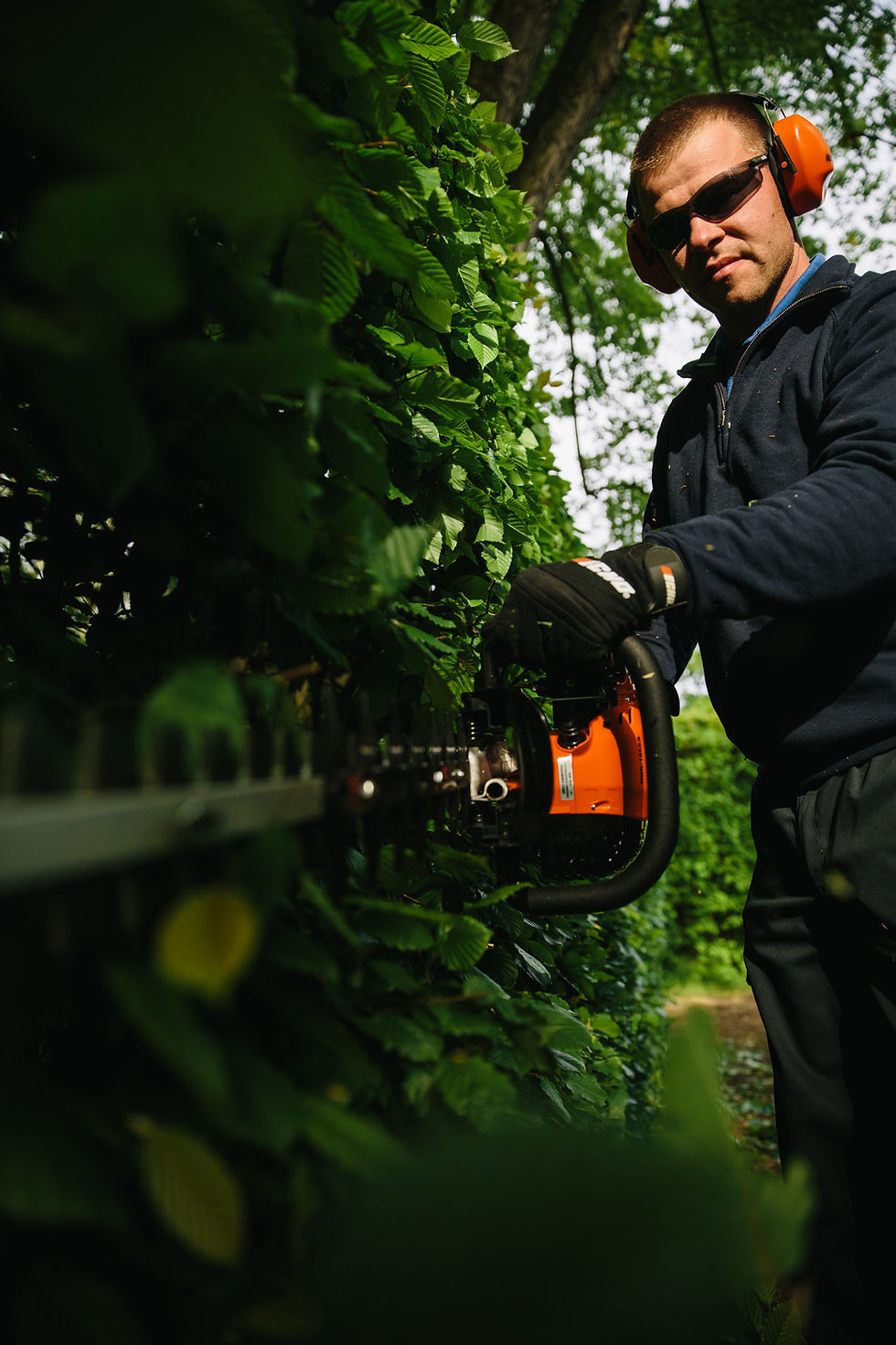 Thumbnail: Echo HCR-165ES Petrol Hedgecutter