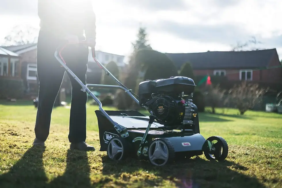 Thumbnail: Webb WEPS400 16" Petrol Lawn Scarifier & Raker