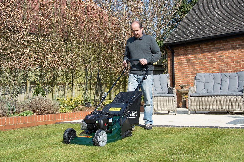 Thumbnail: Webb RR17SP 17" Self Propelled Rear Roller Mower