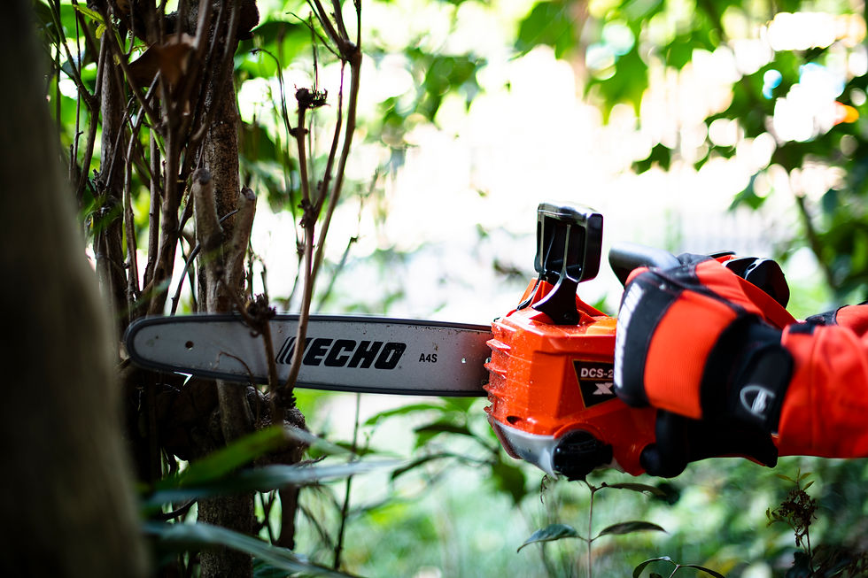 Thumbnail: Echo DCS-2500 12"  Battery Chainsaw (Tool Only)