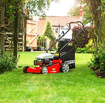 M41C Overview (1)_edited_edited_edited.j