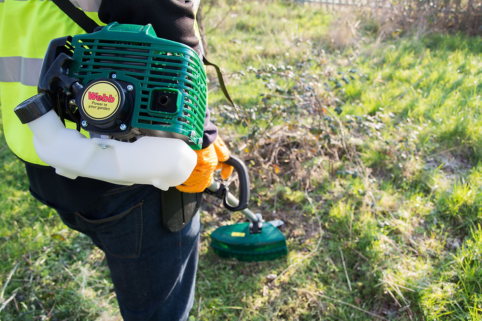 Thumbnail: Webb BC26 26cc Petrol Brushcutter