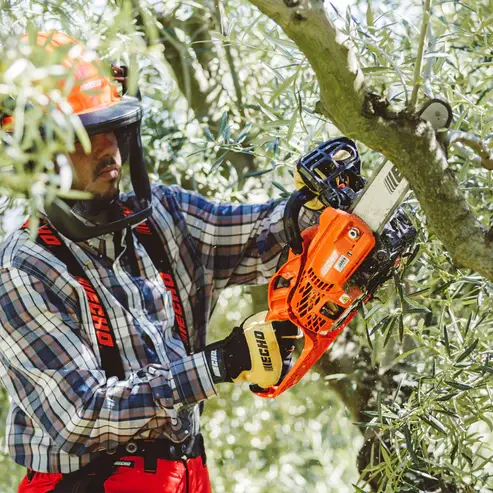 Thumbnail: Echo CS-2511WES Petrol Chainsaw