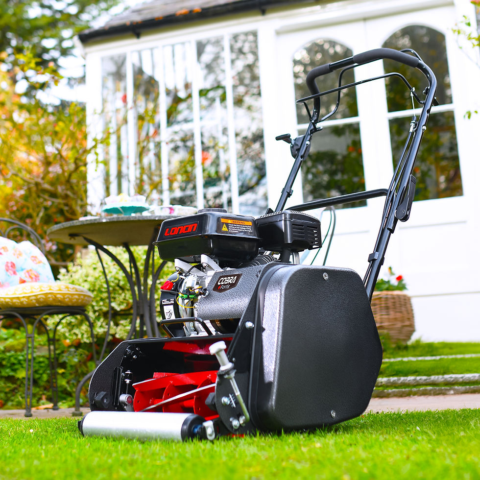Thumbnail: Cobra Fortis 14L Cylinder Lawnmower