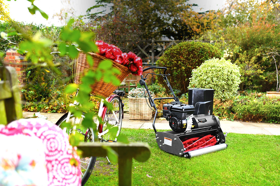 Thumbnail: Fortis 17B Cylinder Lawnmower