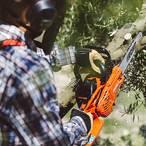 CS-2511WES-2019 (15)_edited.jpg