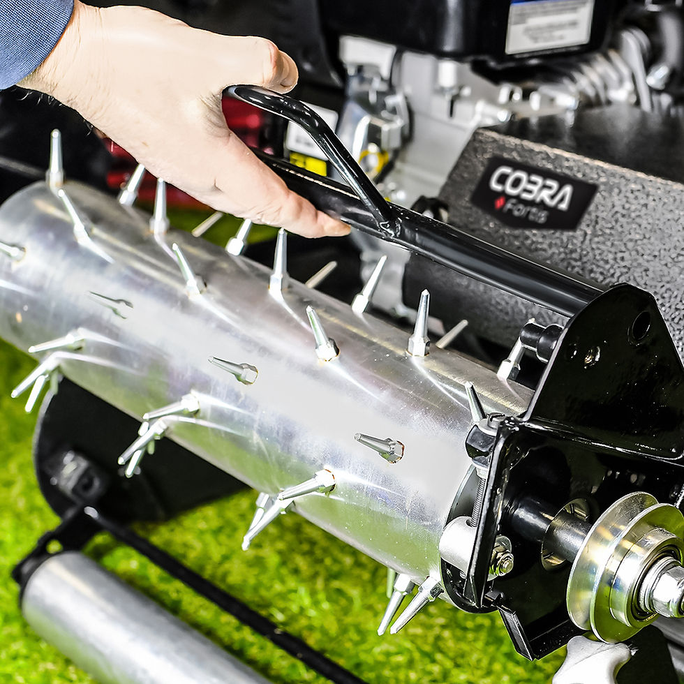 Thumbnail: Cobra Fortis 14L Cylinder Lawnmower